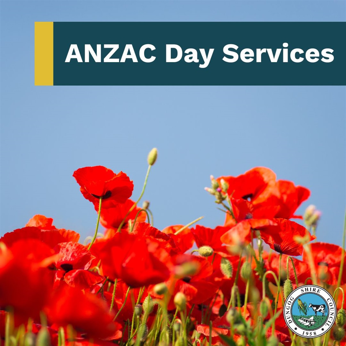 Commemorate ANZAC Day across Dungog Shire TrendRadars