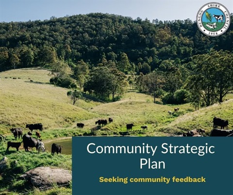 CommunityStrategicPlan.jpg